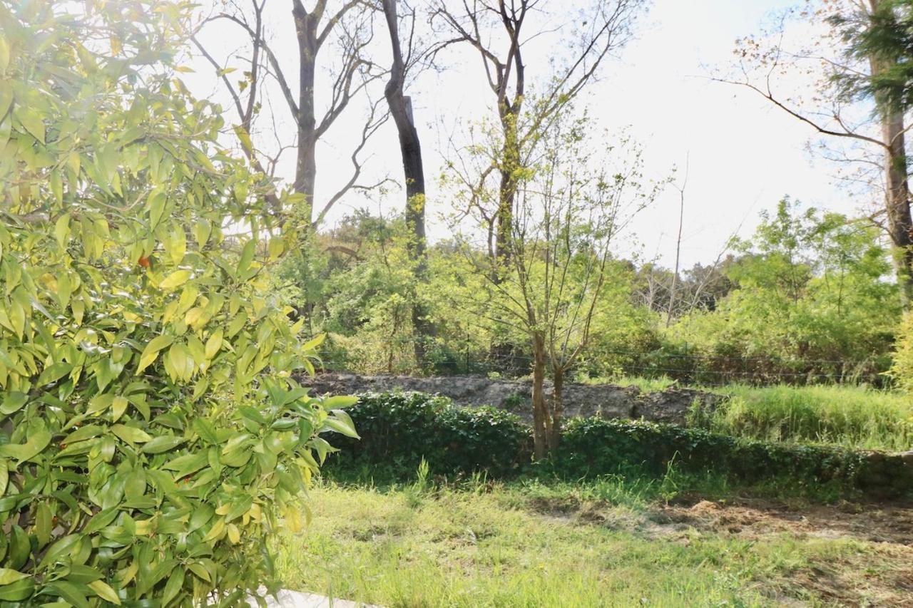Gites Terra Di A Bravona Linguizzetta Extérieur photo