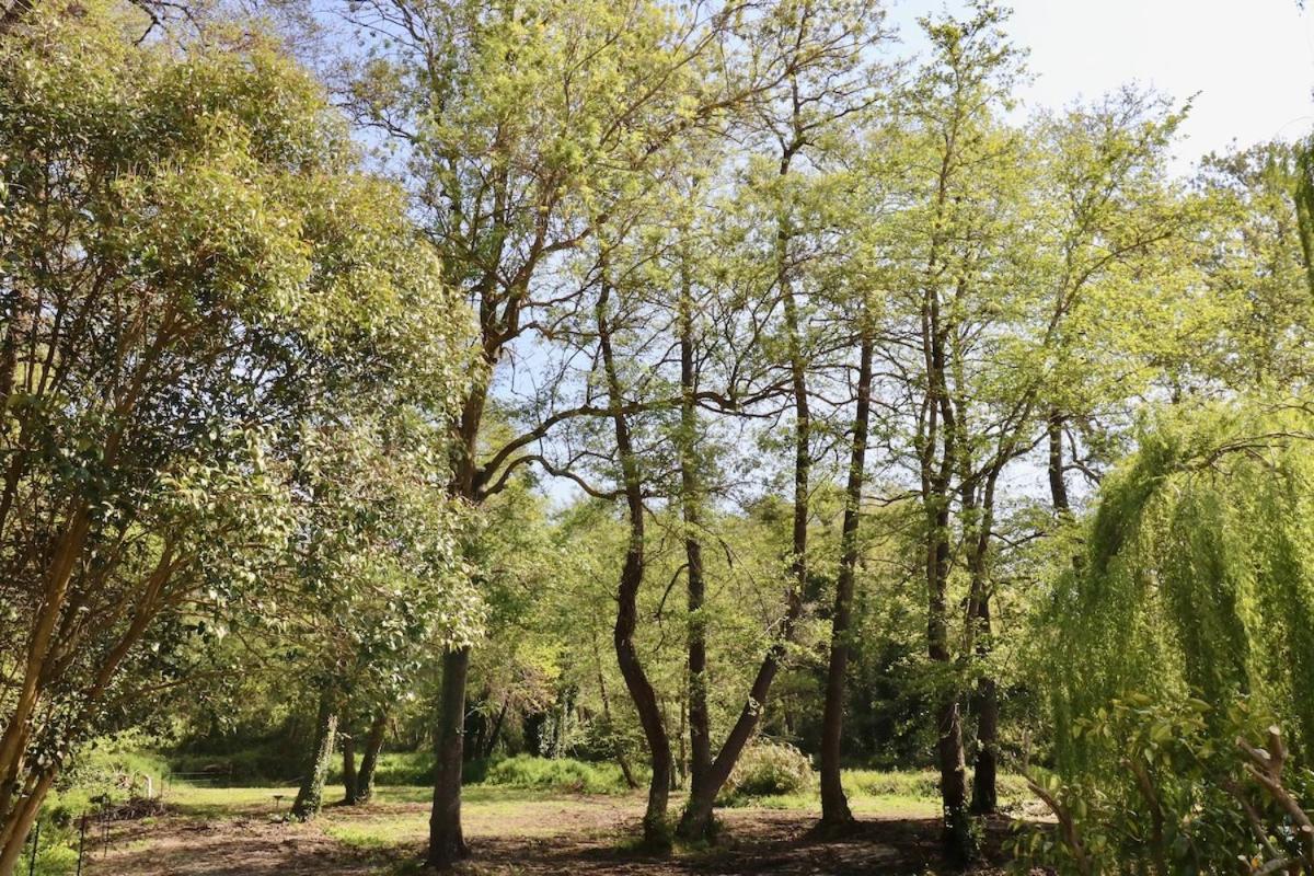 Gites Terra Di A Bravona Linguizzetta Extérieur photo