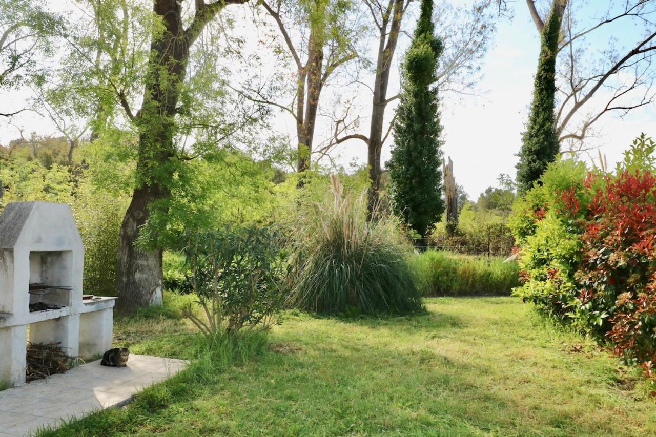 Gites Terra Di A Bravona Linguizzetta Extérieur photo